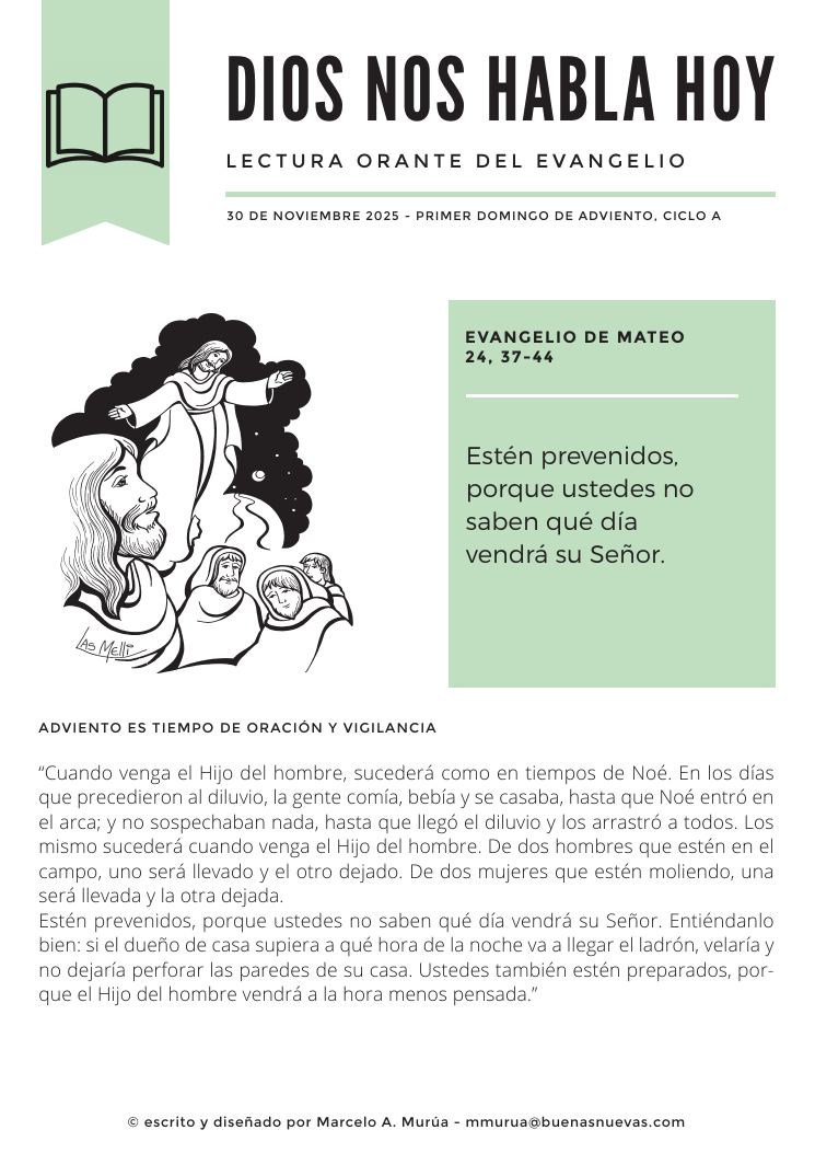 Vista previa, página 11